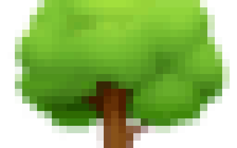 🌳