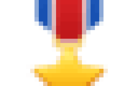 🎖️