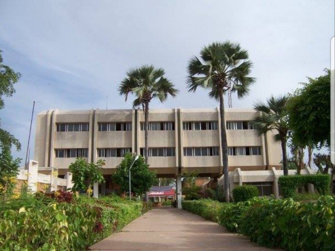 Le concours d’entrée à l’École Nationale Supérieure d’Agriculture (ENSA) de Thiès est ouvert