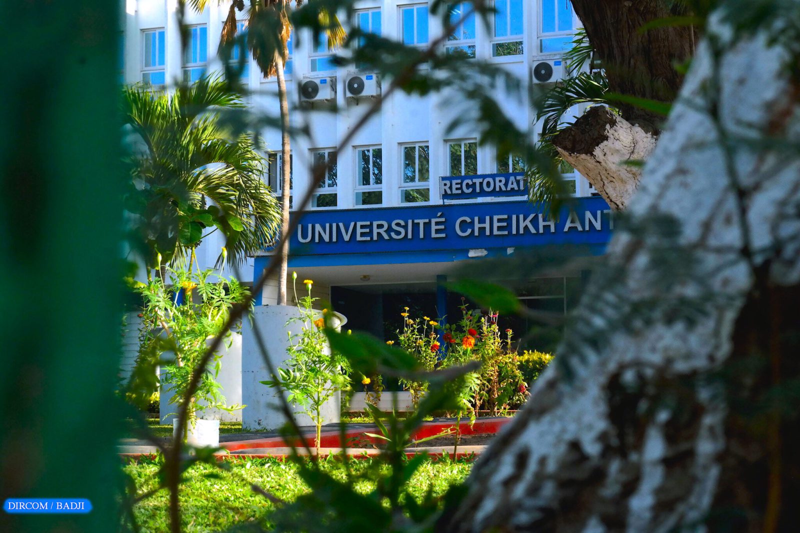 UCAD: Appel à communications pour un colloque international majeur