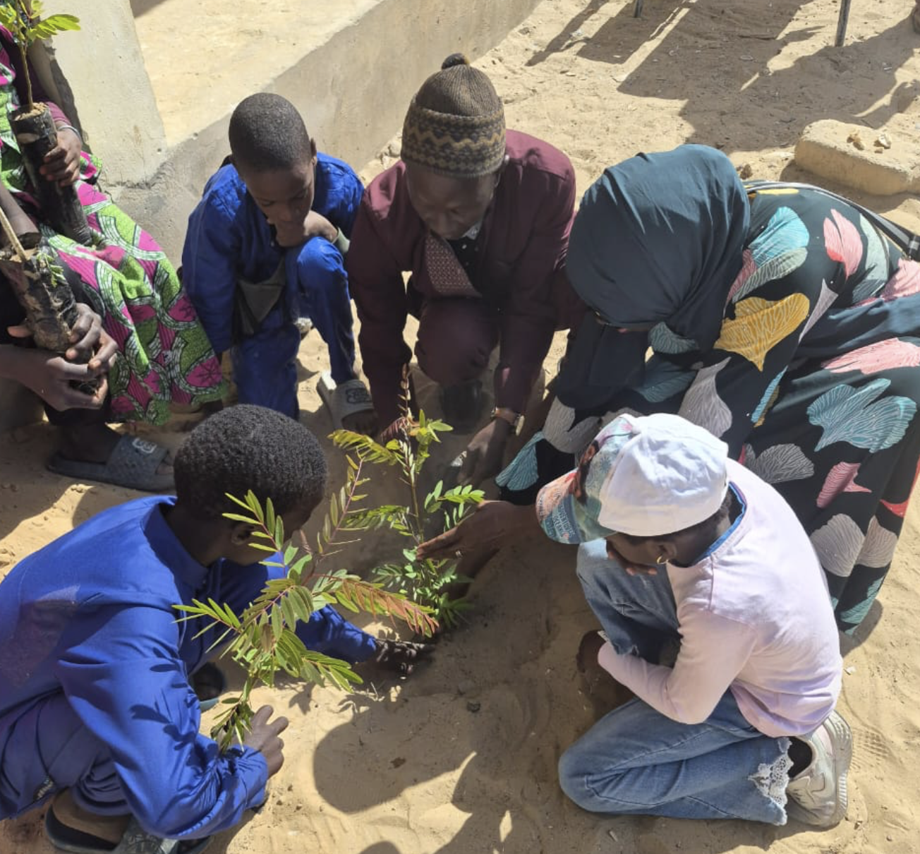 UGB engagée pour l’environnement: reboisement à l’école de Ndiébène Toube